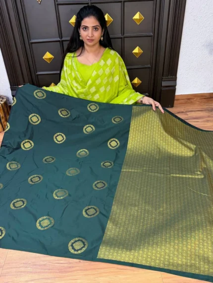 Border Less Kanchi Silk